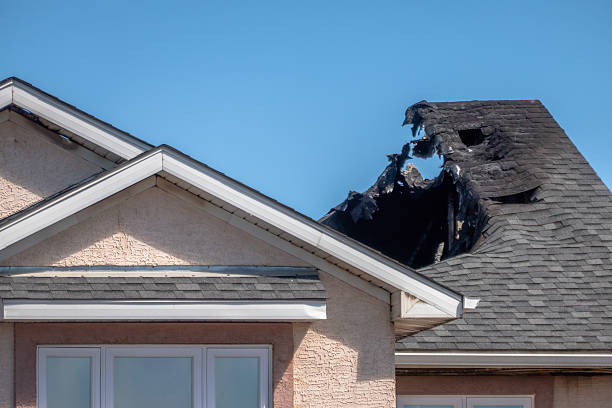 Top rated local Board Up Services specialists in Victoria, TX